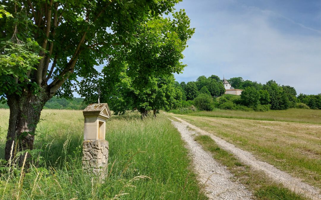 16. Juni 2021 – Am Rande der Fränkischen Schweiz nach Wernsdorf,  20 km