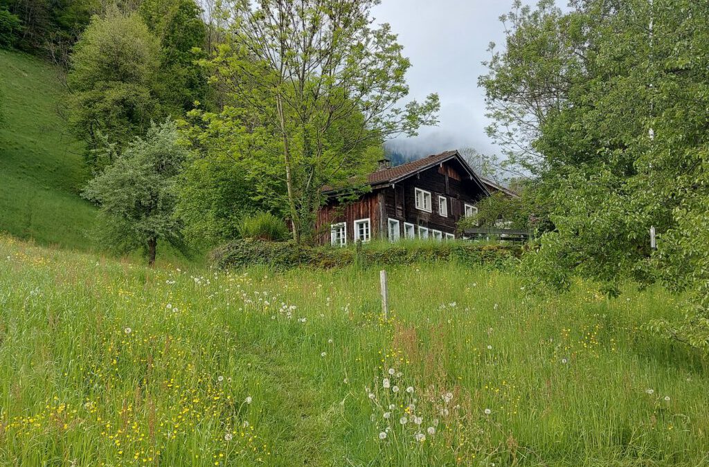 13. Mai 2023 Schweizer Jakobsweg Etappe 7: von Brunnen, Beckenried nach Stans,  18 km davon gelaufen