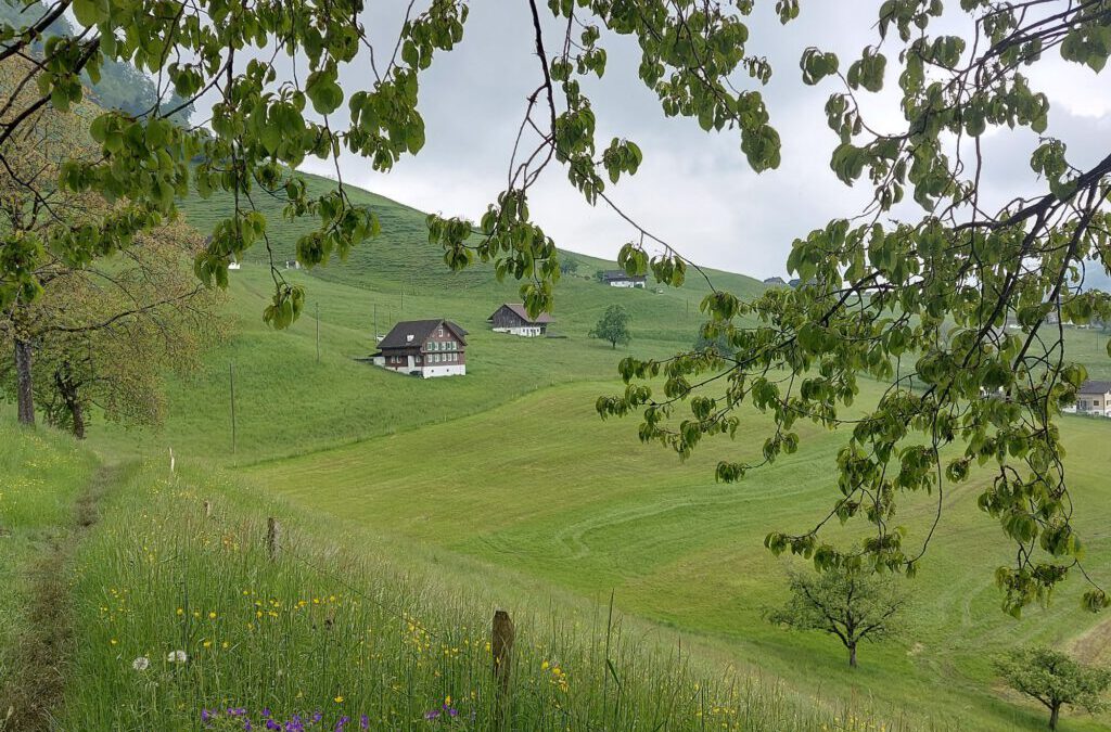 14. Mai 2023 Schweizer Jakobsweg 8. Etappe: von Stans nach Flüeli-Ranft, 21 km